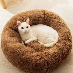 בד ידידותי לחיות מחמד